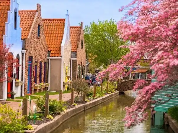 Dutch-style buildings beside a canal with pink spring blossoms in Holland, Michigan